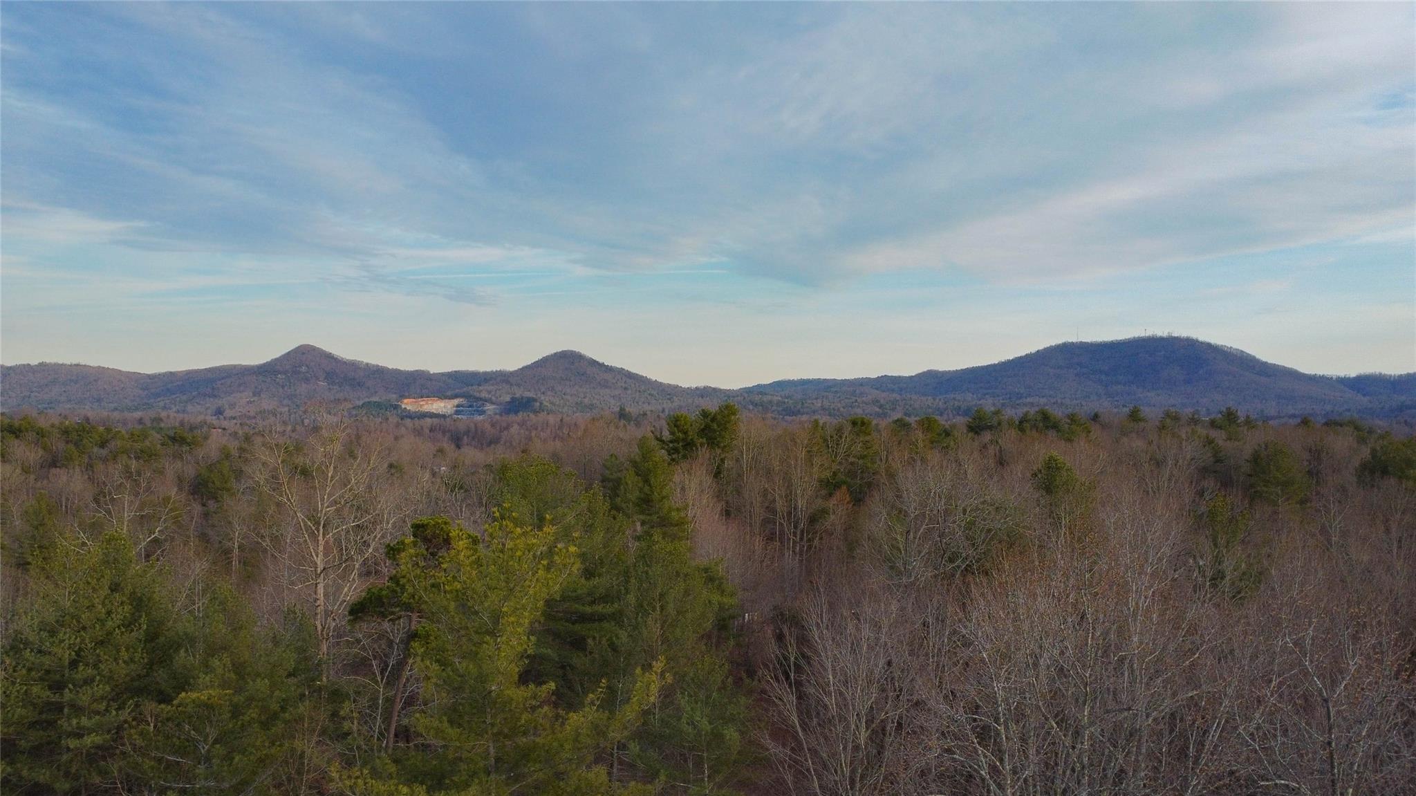 000 Cottrell Hill Road Barlow & Triplett Realty